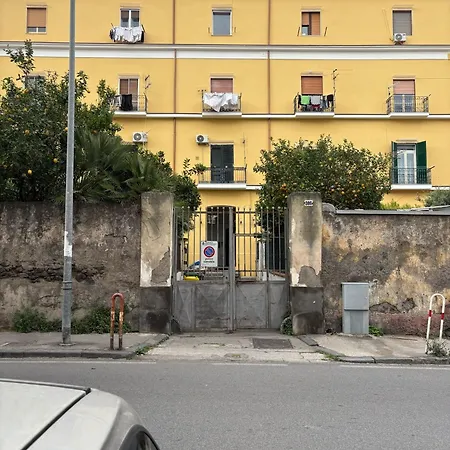 G&g House *